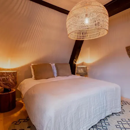Btfl Living Antwerpen
