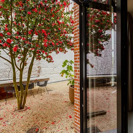 Btfl Living Apartment *